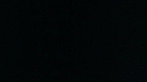 elon-musk-tesla-denuncia