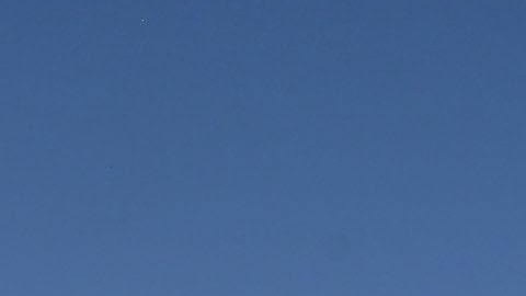 elon-musk-jet