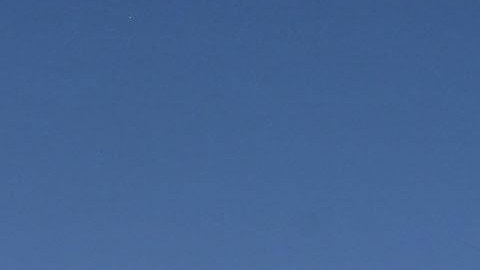 elon-musk-jet