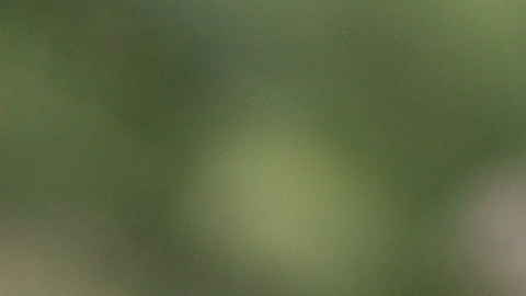 general-motors-chevy