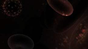 La vacuna prepararía al cuerpo para combatir las infecciones de las diversas cepas del VIH en todo el mundo.