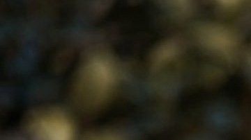 Obtenga cobertura de salud asequible y de calidad a través de  NY State of Health.