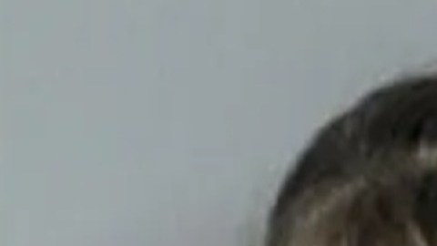 Shannon Marie Morgan, Florida