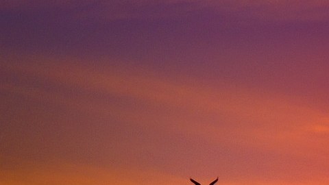 El 55% de los estadounidenses esperan el regreso de Jesús.