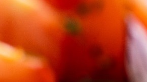 pescado-fuente de vitamina D