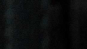 El equipo pudo rastrear los primeros indicios de domesticación hasta la región del Creciente Fértil.