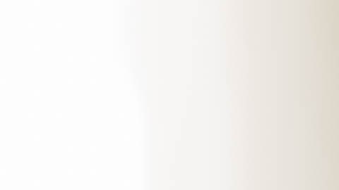 prestamistas-small-business-administration