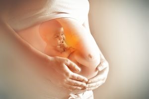 Qué es el conflicto genético que se desata naturalmente con el embarazo y por qué puede generar complicaciones para el feto y la madre