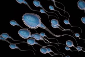 5 razones por las que hay una caída en la cantidad de espermatozoides en todo el mundo