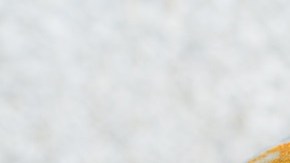 Sopa instantánea-comida altamente procesada