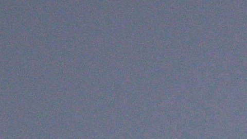 twitter-blue-elon.musk-apple-iphone