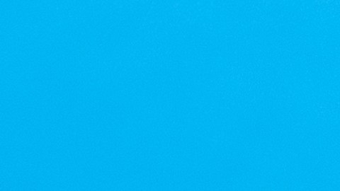 twitter-politica-elon-musk
