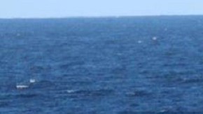 La Guardia Costera ha logrado el rescate de varios inmigrantes en medio del mar.