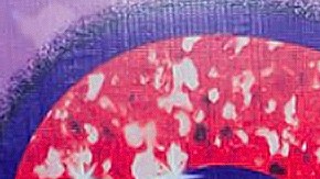 Andrea Legarreta y sus hijas viajaron a Japón.