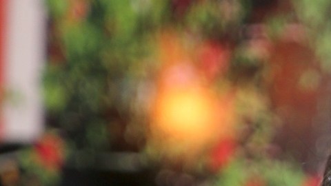 La dominicana Clarissa Molina sigue siendo criticada por los internautas tras la presunta ruptura con Vicente Saavedra.