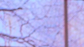 La presentadora Francisca Lachapel despierta sospechas entre sus seguidores de un posible estado de gestación.