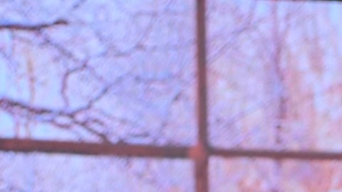 La presentadora Francisca Lachapel despierta sospechas entre sus seguidores de un posible estado de gestación.