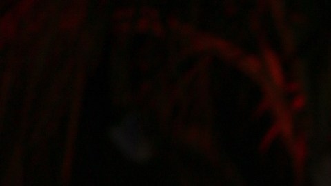 La conductora de televisión Myrka Dellanos fue una de las integrantes del jurado.