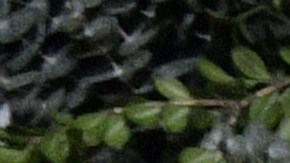 Rafael Amaya regresa a Telemundo como Aurelio Casillas en "El Señor de los Cielos 8".