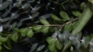 Rafael Amaya regresa a Telemundo como Aurelio Casillas en "El Señor de los Cielos 8".