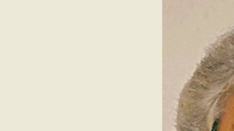 Linda Rubbo Padilla.