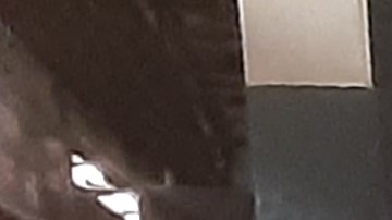 Anarquía y basura en el Metro de NYC: imán para el crimen y las ratas.