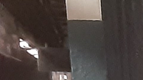 Anarquía y basura en el Metro de NYC: imán para el crimen y las ratas.