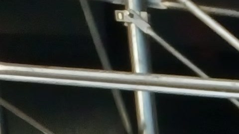 Hasta este lunes en la tarde un grupo se oponía a ser trasladado a un hospedaje humanitario.