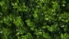 La actriz Elizabeth Gutiérrez junto a William Levy en el 2017.