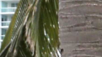 William Valdés, ex conductor de "Venga La Alegría".