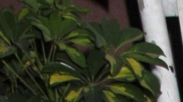 La peruana Laura Bozzo es criticada por la audiencia de 'La Casa de los Famosos 3'.