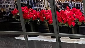 Ana Patricia Gámez y Rafael Araneda