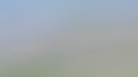 SMS