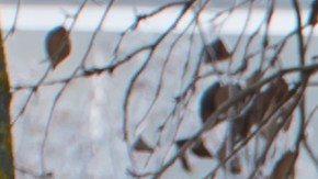 Árbol de Navidad tirado