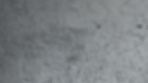 El mein es un plato originario de China, una comida que se realiza salteando fideos o noodles con vegetales.