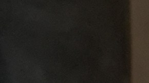 Don Francisco vuelve a Univision para conversar con Jorge Ramos.