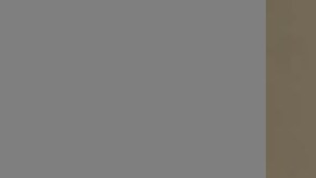 El pistolero habría cortado un monitor de tobillo con GPS ordenado por un tribunal 16 minutos antes del tiroteo.