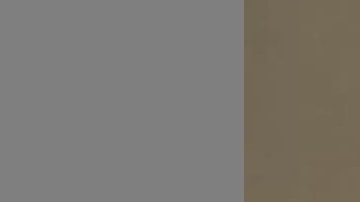 El pistolero habría cortado un monitor de tobillo con GPS ordenado por un tribunal 16 minutos antes del tiroteo.