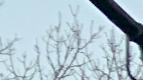 Deliveristas de NYC se anotan triunfo