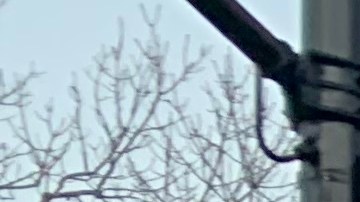 Ya no darán cubiertos plásticos y condimentos para comidas para llevar en NYC