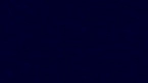 Chris Brown fue criticado por el desorden.