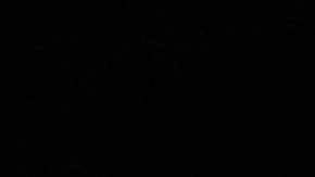 Enes Kanter Freedom besa el tabloncillo del Madison Square Garden.