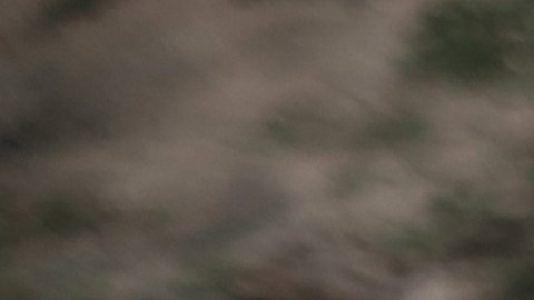 Los casos reportados desde el brote han aumentado a 31,241.