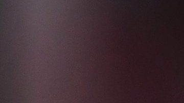 Wanda Nara viendo un partido de la Serie A.