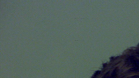 Patrick Crusius, tiroteo en El Paso