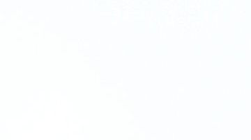 El Bronx Apuñalamiento