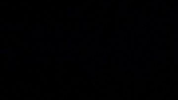 Imagen referencial. Partido entre Navegantes del Magallanes y Leones de Caracas en el Estadio Universitario.