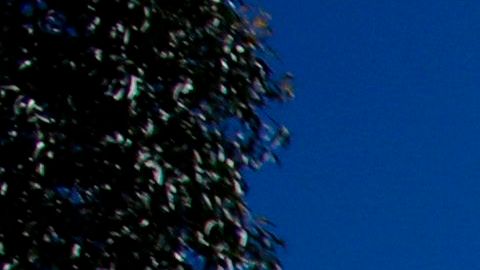 TOPSHOT-MEXICO-CRIME-COMMON GRAVE