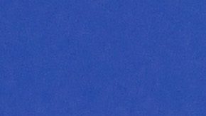 Ellen DeGeneres mostró un arroyo que hay en su mansión.