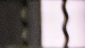 Esto no significa que se hayan prohibido por completo las pruebas de nuevos medicamentos en animales. 